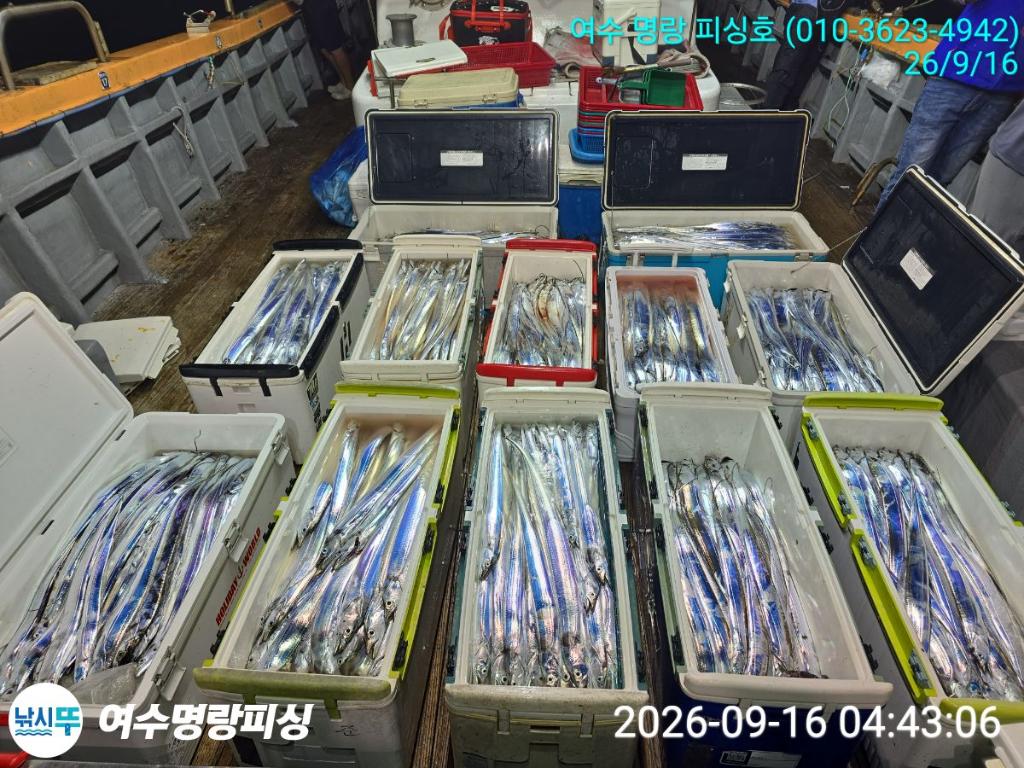 낚시뚜,갈치,국동항,여수명랑피싱,낚시뚜13