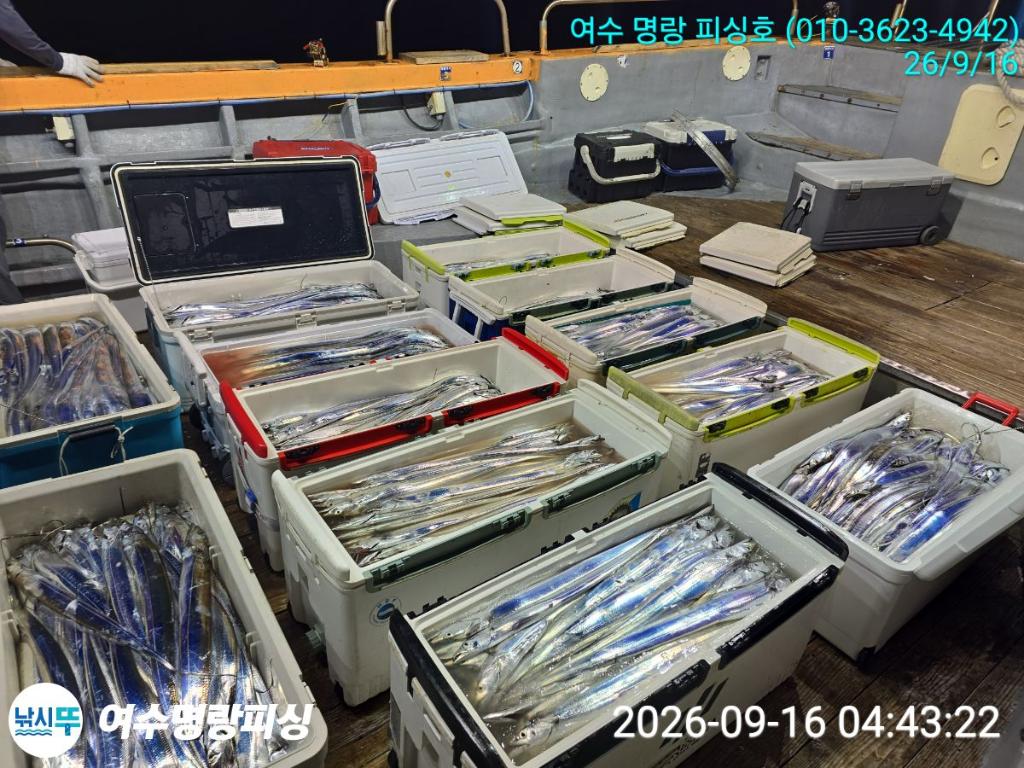 낚시뚜,갈치,국동항,여수명랑피싱,낚시뚜15