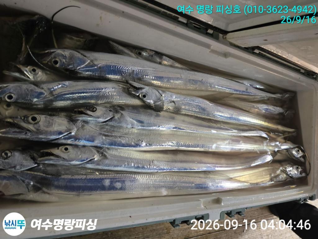 낚시뚜,갈치,국동항,여수명랑피싱,낚시뚜12