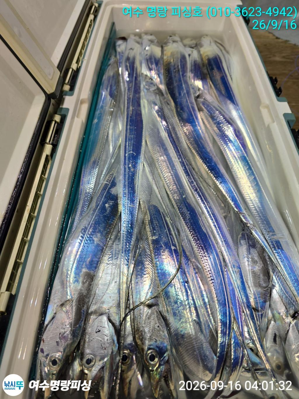낚시뚜,갈치,국동항,여수명랑피싱,낚시뚜8
