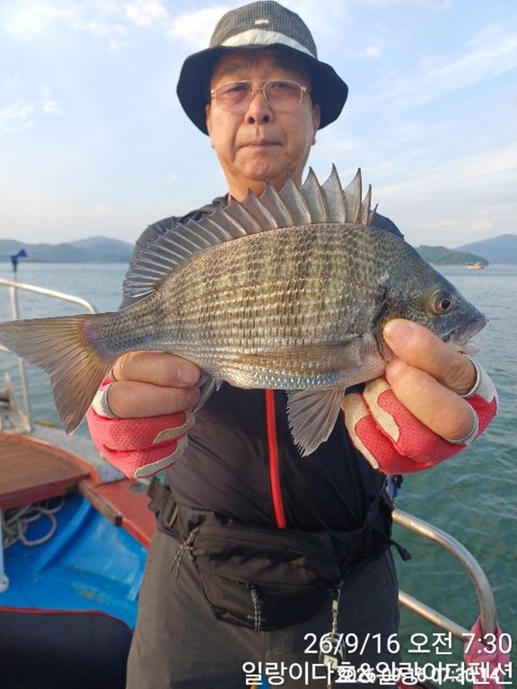 낚시뚜,감성돔,냉천항,일랑이다호,낚시뚜3