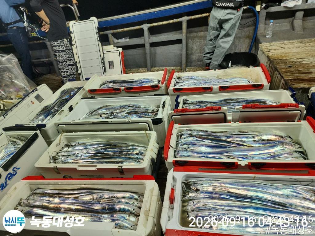 낚시뚜,갈치,녹동항,녹동대성호,낚시뚜2