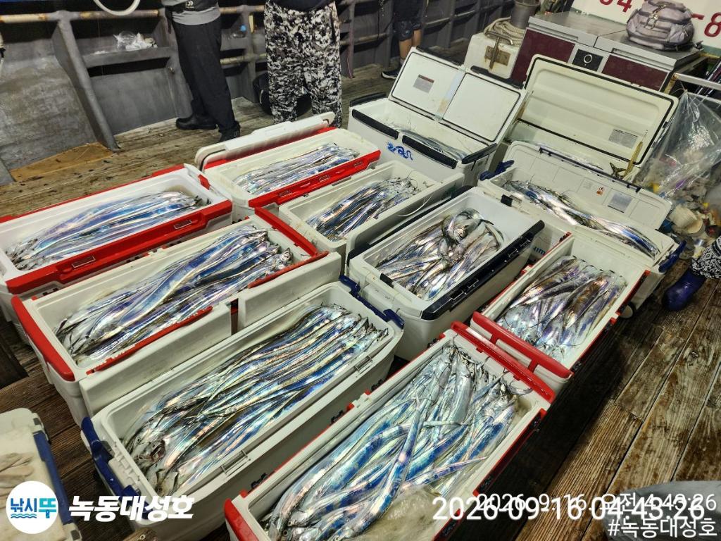 낚시뚜,갈치,녹동항,녹동대성호,낚시뚜1