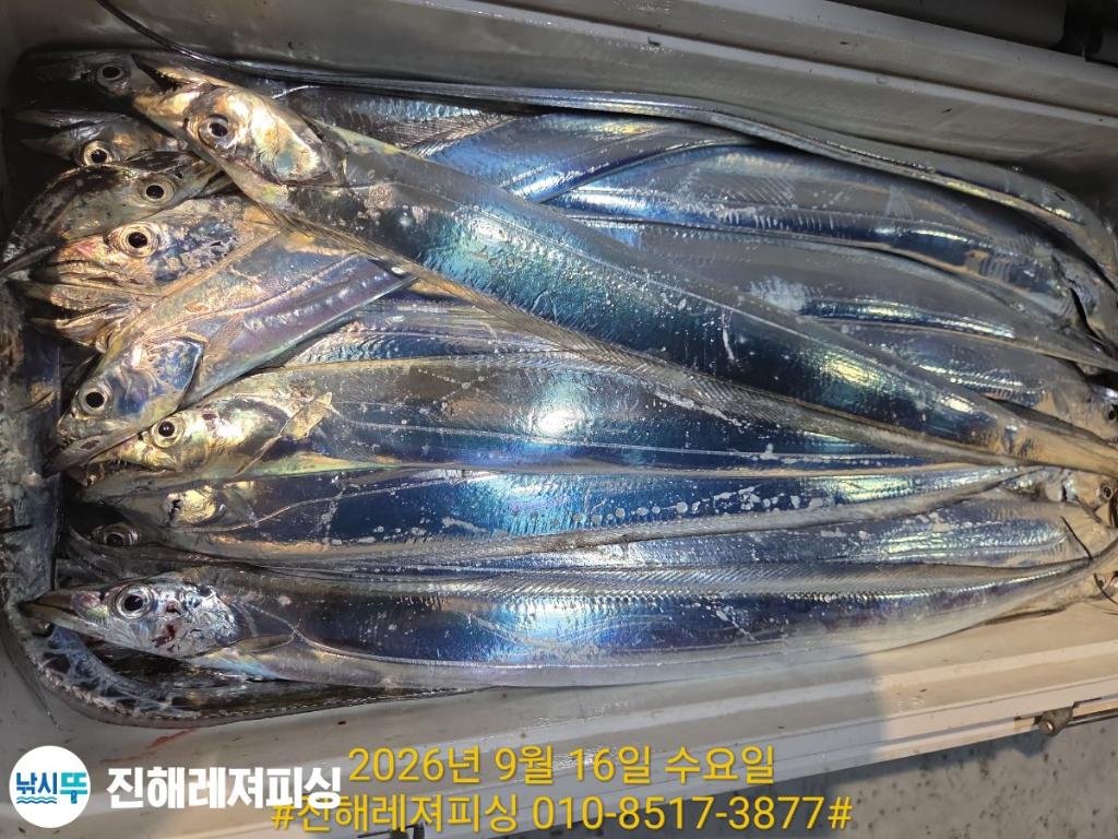 낚시뚜,갈치,진해1부두항,진해레져피싱,낚시뚜32