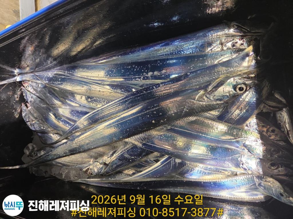 낚시뚜,갈치,진해1부두항,진해레져피싱,낚시뚜31