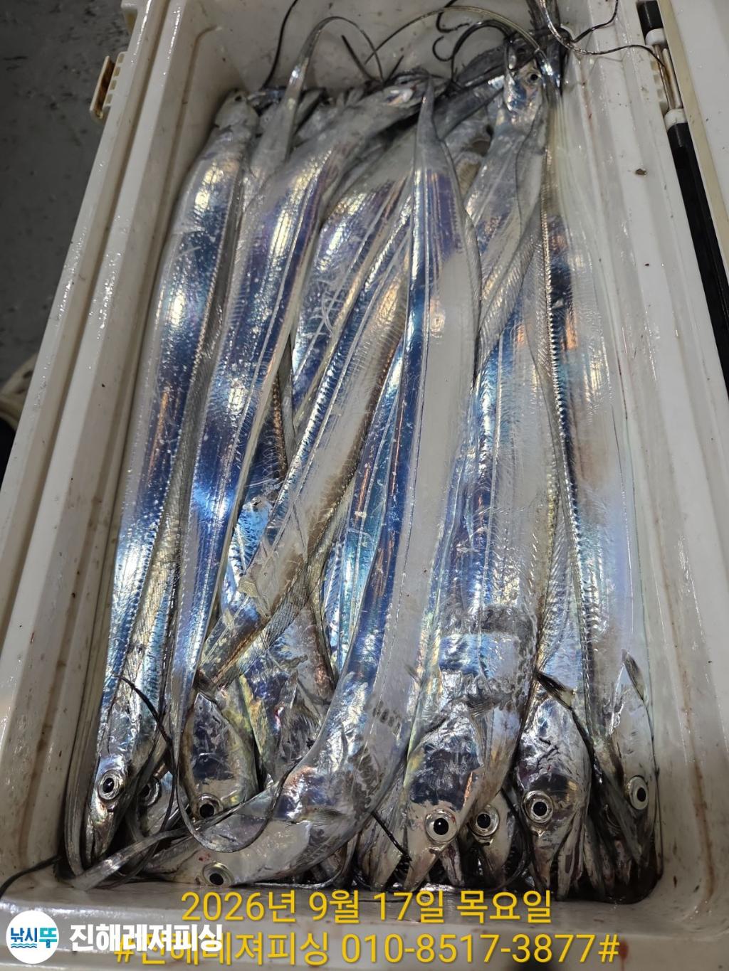 낚시뚜,갈치,진해1부두항,진해레져피싱,낚시뚜28
