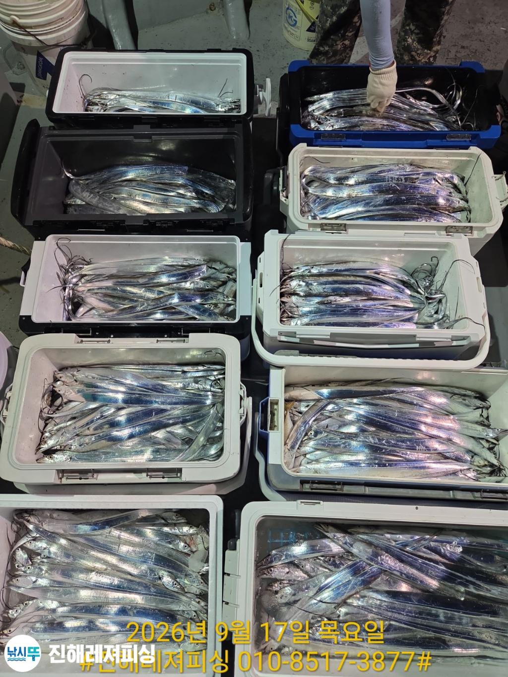 낚시뚜,갈치,진해1부두항,진해레져피싱,낚시뚜21