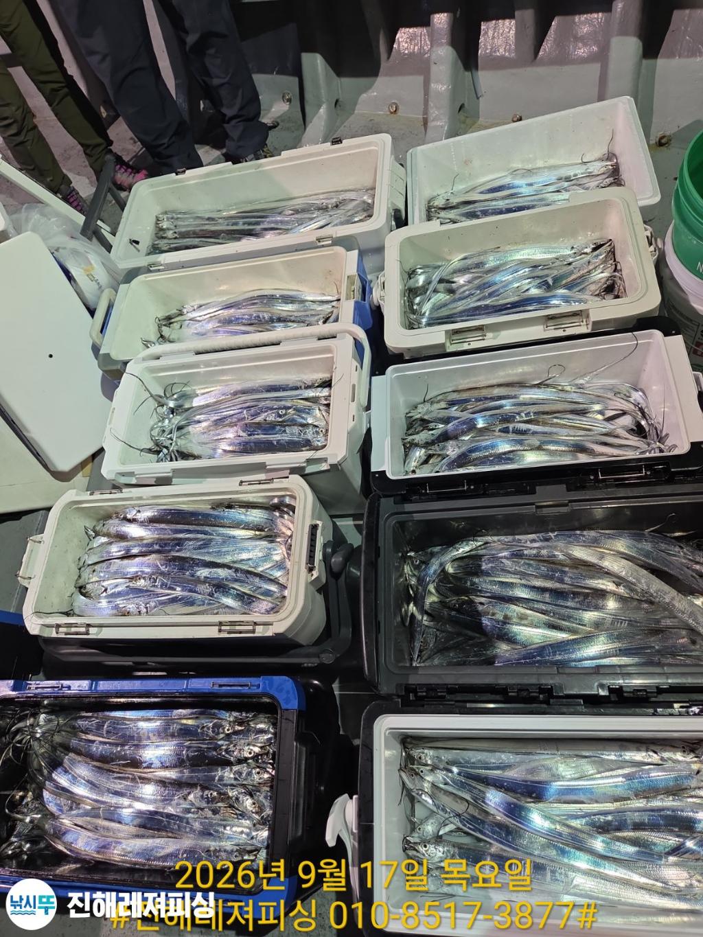 낚시뚜,갈치,진해1부두항,진해레져피싱,낚시뚜17