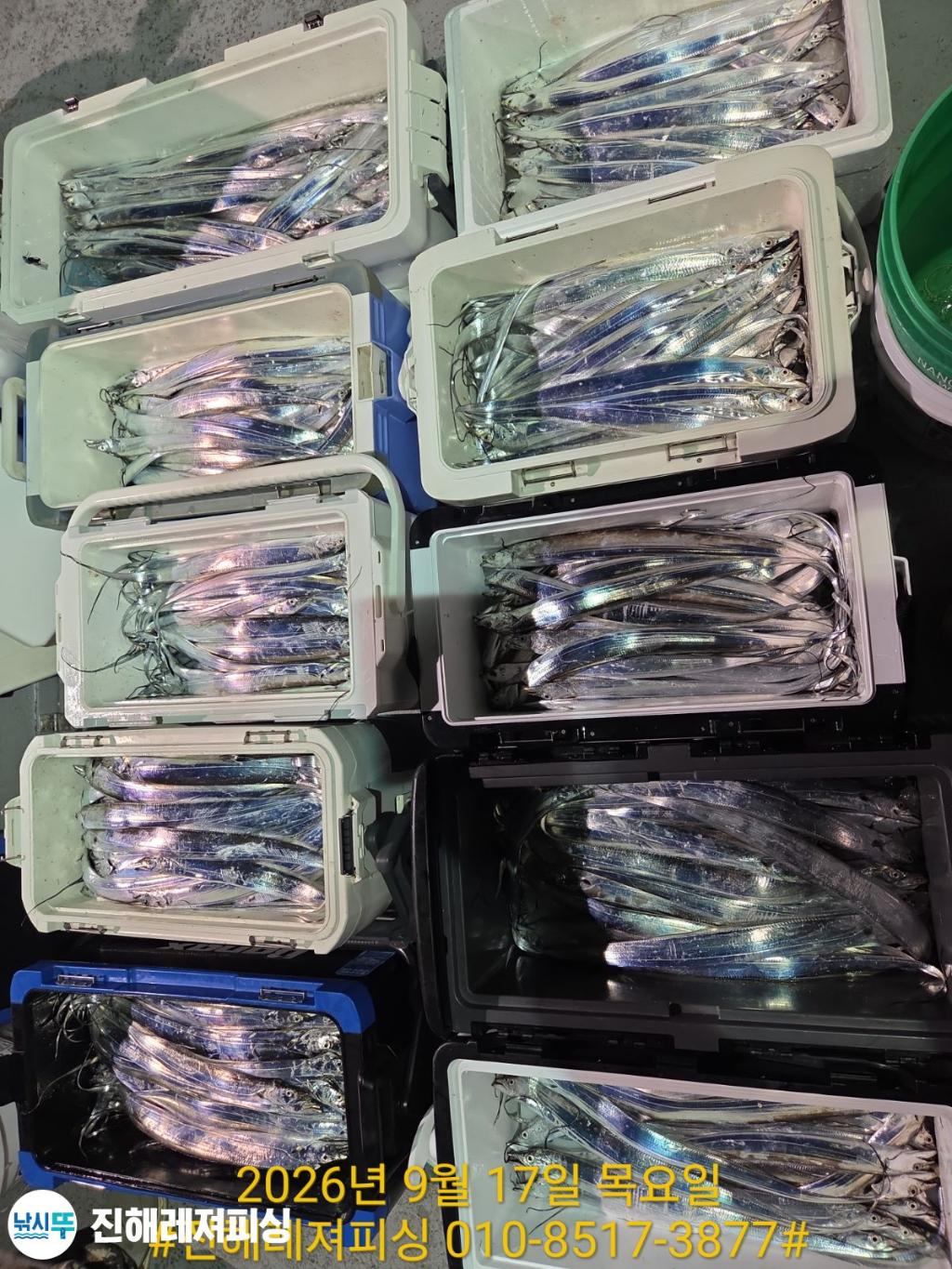 낚시뚜,갈치,진해1부두항,진해레져피싱,낚시뚜14