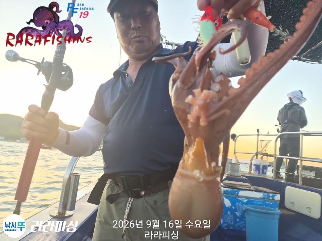낚시뚜,돌문어,속천항(진해),라라피싱,낚시뚜5