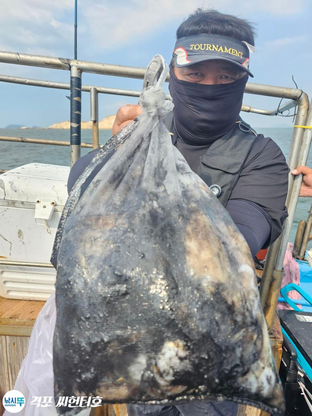 낚시뚜,갑오징어,쭈꾸미,격포,격포 씨헌터호,낚시뚜8
