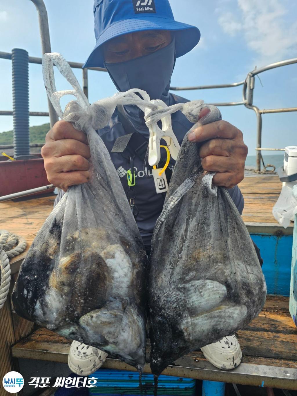낚시뚜,갑오징어,쭈꾸미,격포,격포 씨헌터호,낚시뚜7