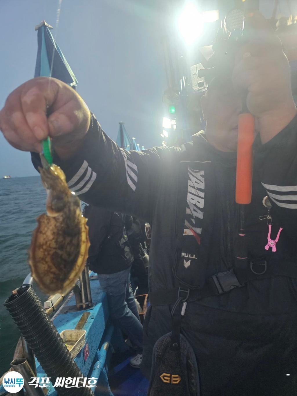 낚시뚜,갑오징어,쭈꾸미,격포,격포 씨헌터호,낚시뚜2