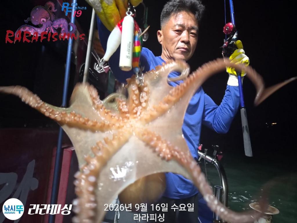 낚시뚜,돌문어,속천항(진해),라라피싱,낚시뚜2