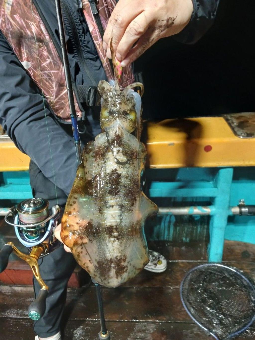 낚시뚜,무늬오징어,영일만항,뉴해마호,낚시뚜37