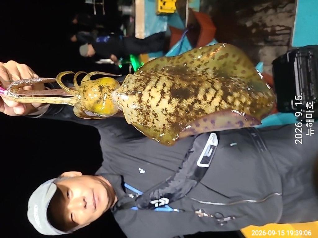 낚시뚜,무늬오징어,영일만항,뉴해마호,낚시뚜7