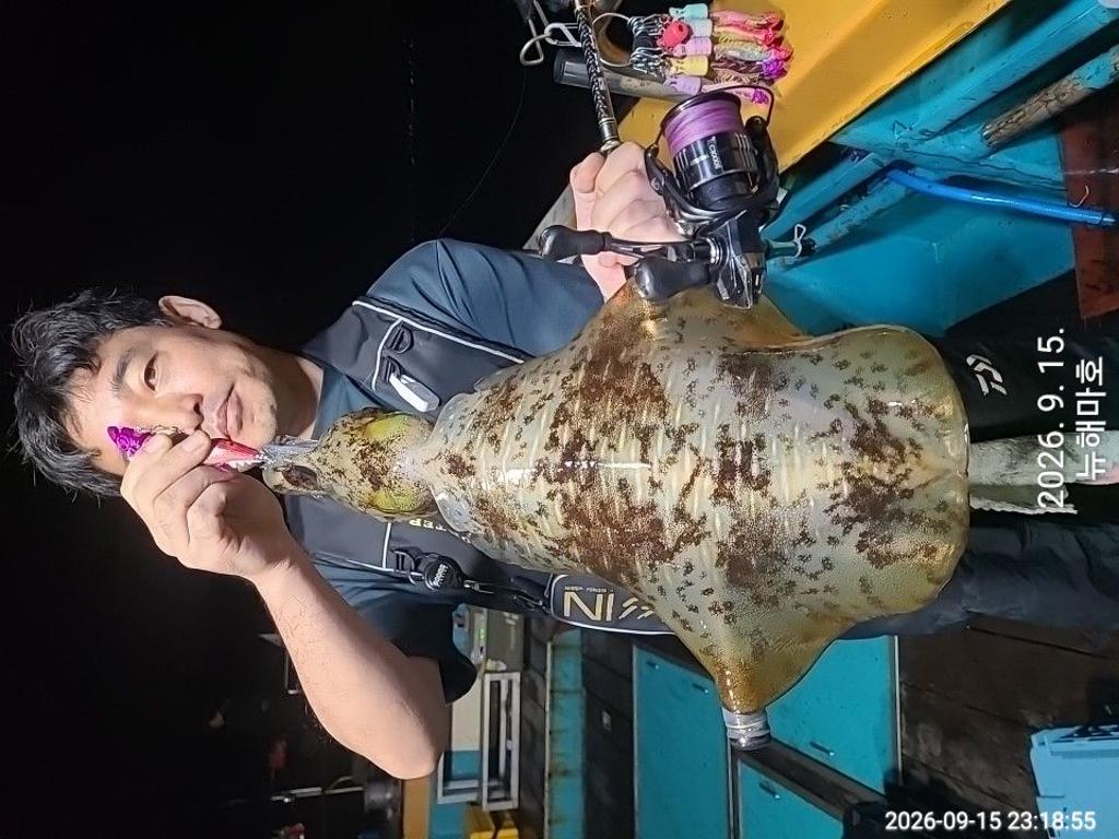 낚시뚜,무늬오징어,영일만항,뉴해마호,낚시뚜4