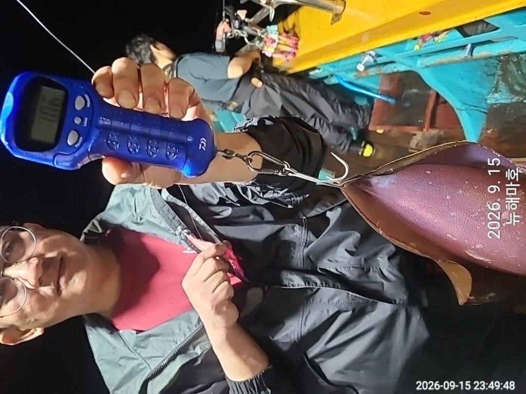 낚시뚜,무늬오징어,영일만항,뉴해마호,낚시뚜3