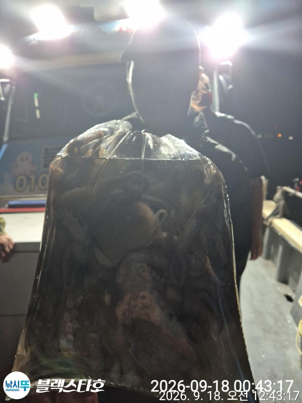 낚시뚜,돌문어,삼천포 팔포항,삼천포 블랙스타,낚시뚜14