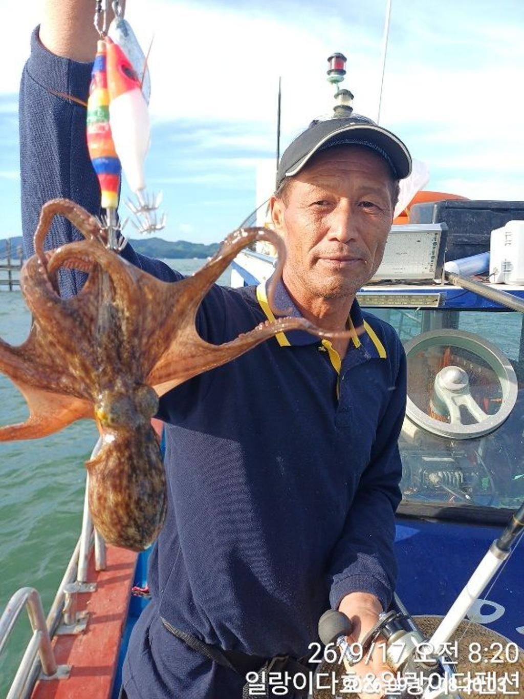 낚시뚜,돌문어,냉천항,일랑이다호,낚시뚜4