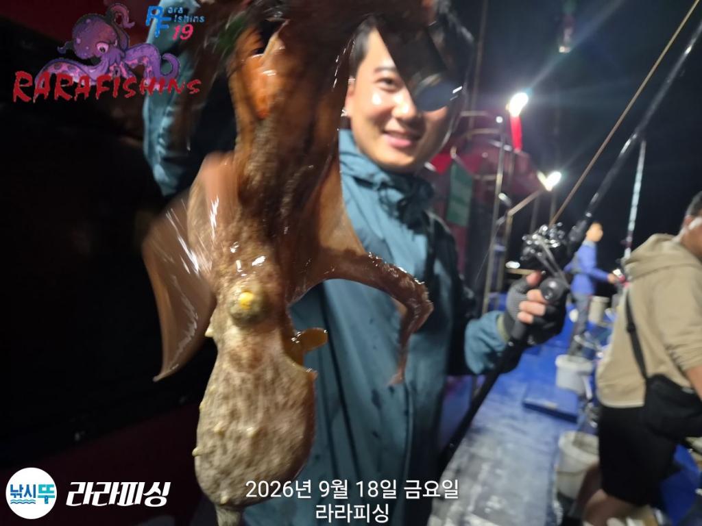 낚시뚜,돌문어,속천항(진해),라라피싱,낚시뚜7