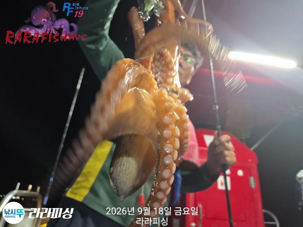 낚시뚜,돌문어,속천항(진해),라라피싱,낚시뚜5