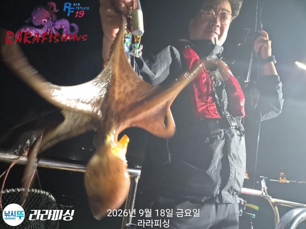 낚시뚜,돌문어,속천항(진해),라라피싱,낚시뚜2