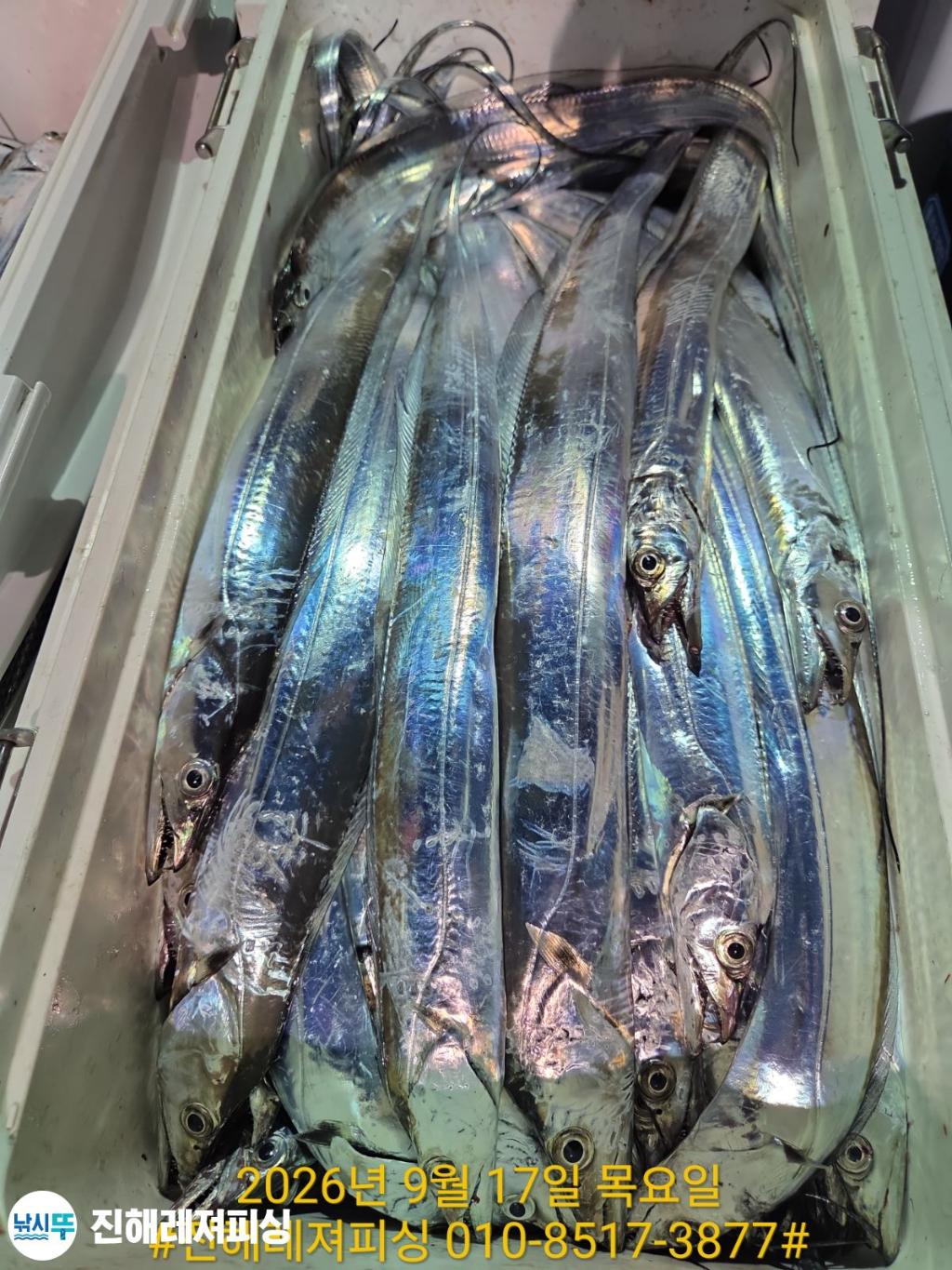 낚시뚜,갈치,진해1부두항,진해레져피싱,낚시뚜26