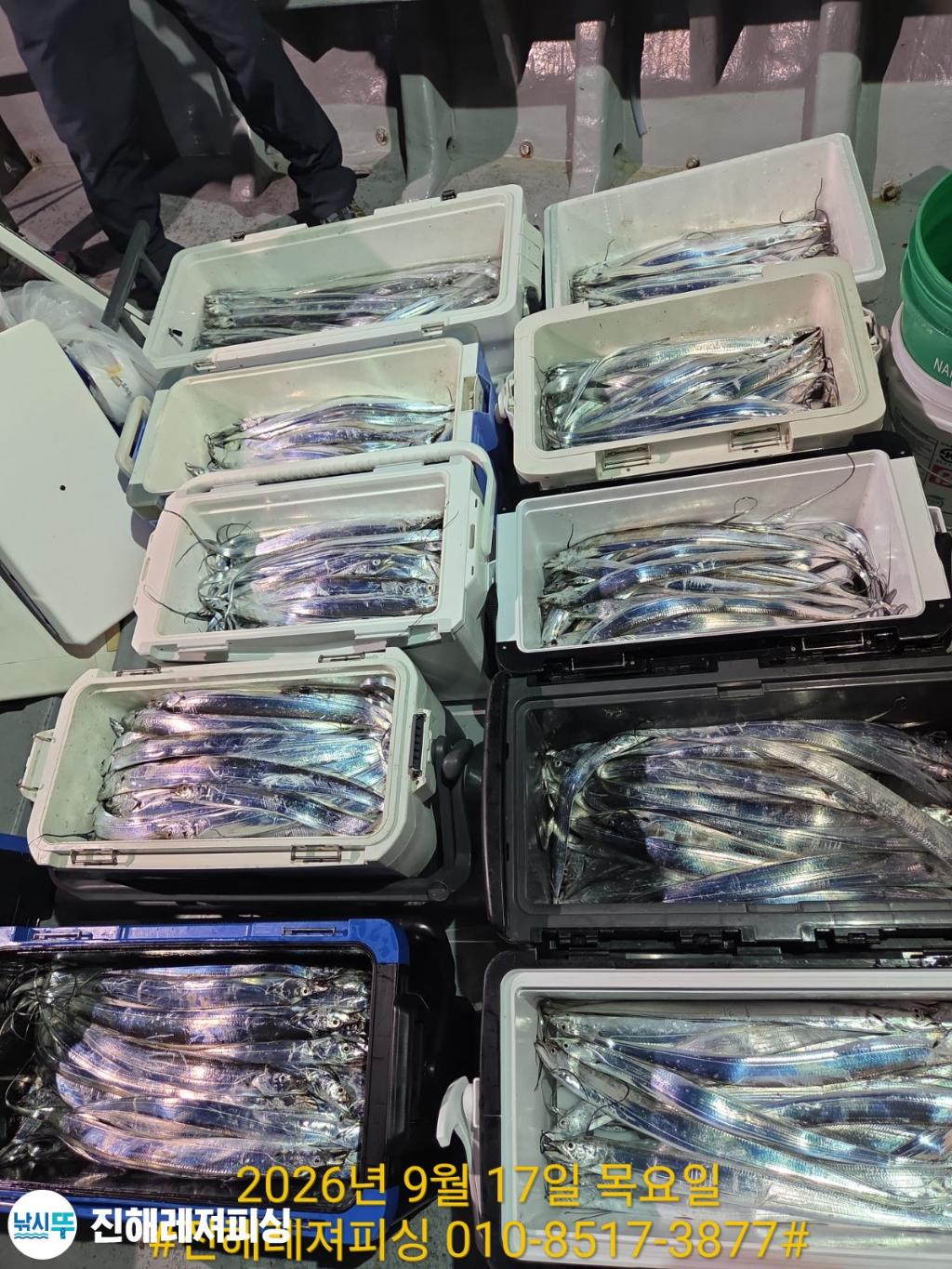 낚시뚜,갈치,진해1부두항,진해레져피싱,낚시뚜19