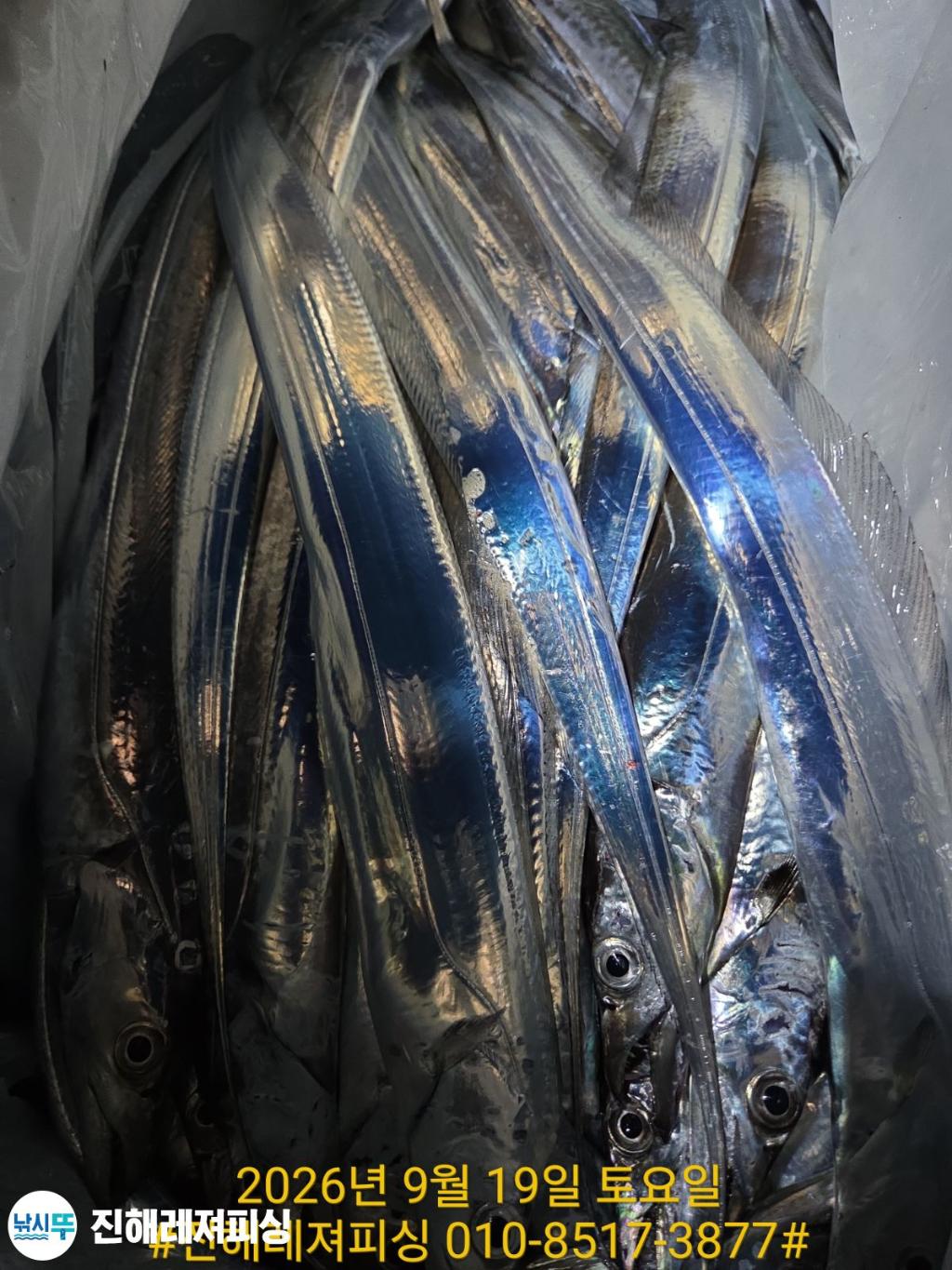 낚시뚜,갈치,진해1부두항,진해레져피싱,낚시뚜12