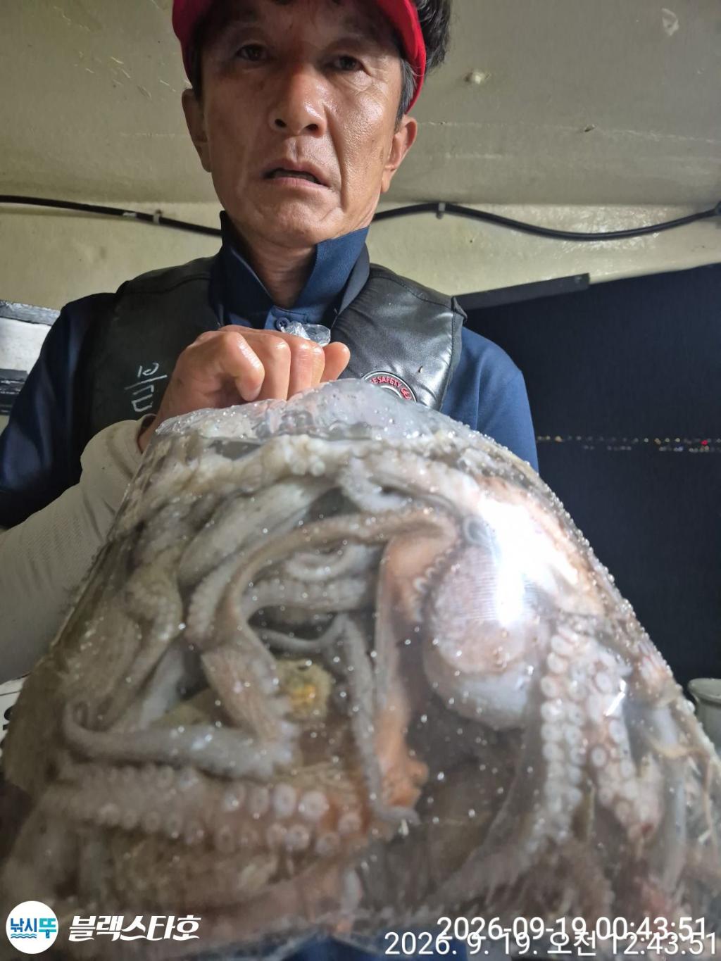 낚시뚜,돌문어,삼천포 팔포항,삼천포 블랙스타,낚시뚜21