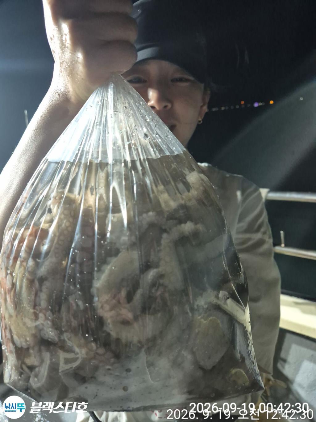 낚시뚜,돌문어,삼천포 팔포항,삼천포 블랙스타,낚시뚜18