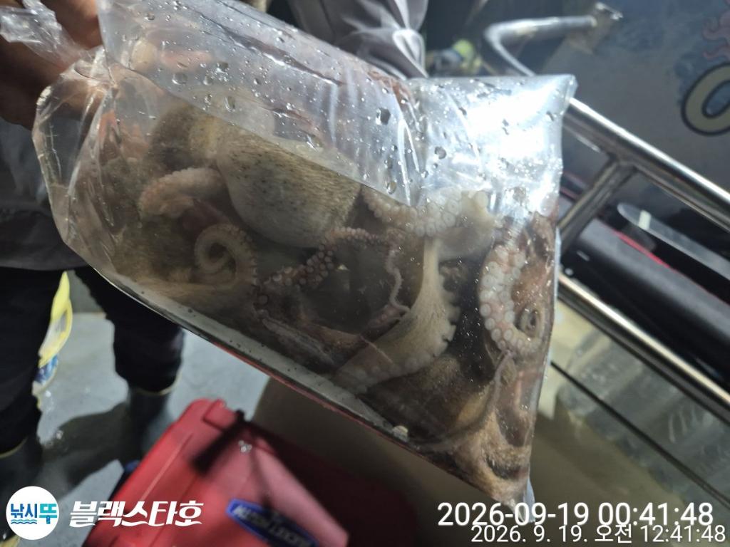 낚시뚜,돌문어,삼천포 팔포항,삼천포 블랙스타,낚시뚜14