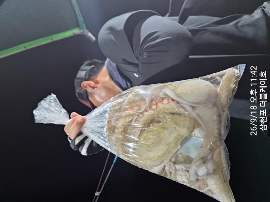 낚시뚜,돌문어,삼천포 팔포항,삼천포 더블케이호,낚시뚜9