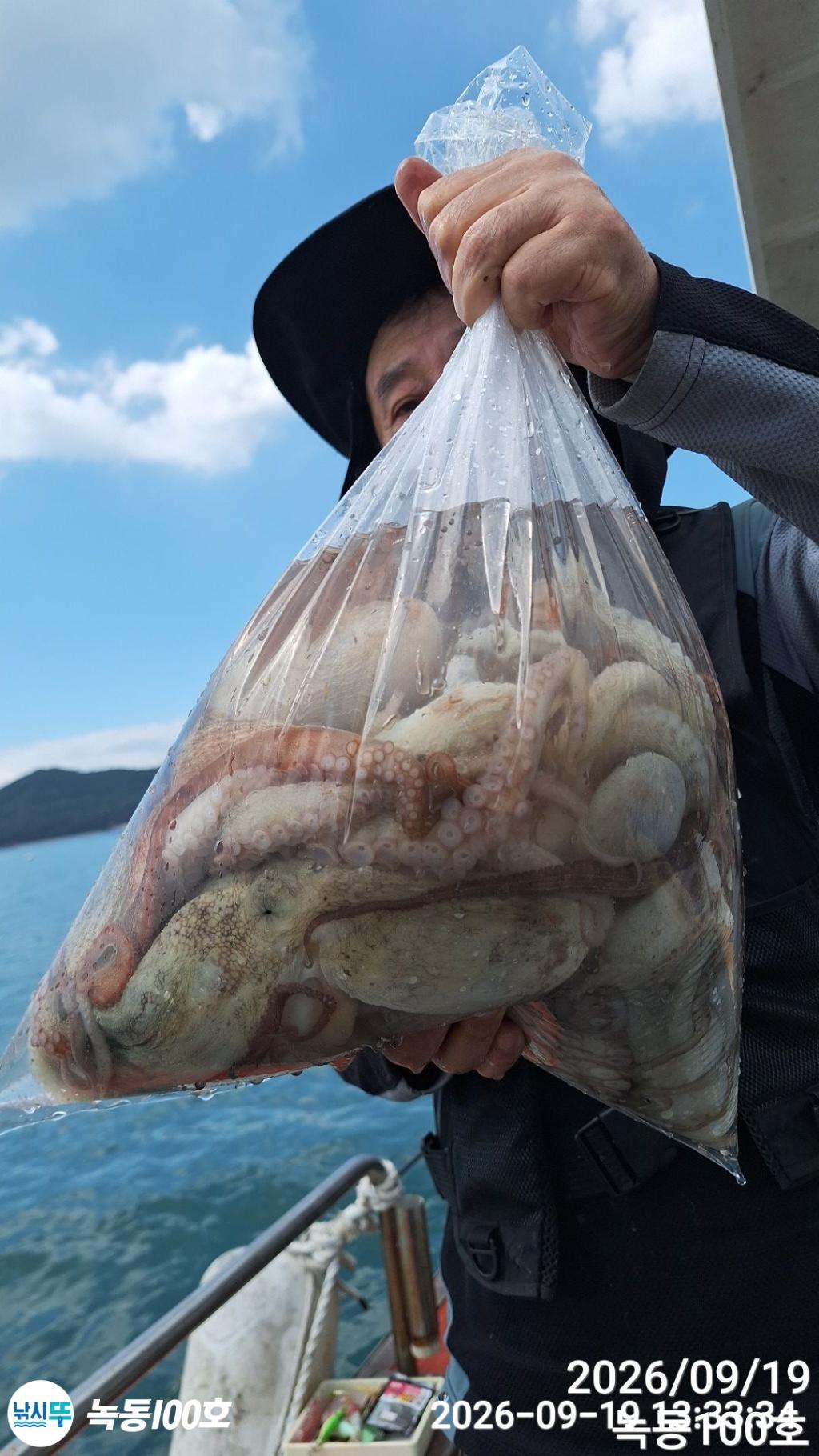 낚시뚜,돌문어,녹동항,녹동100호,낚시뚜13