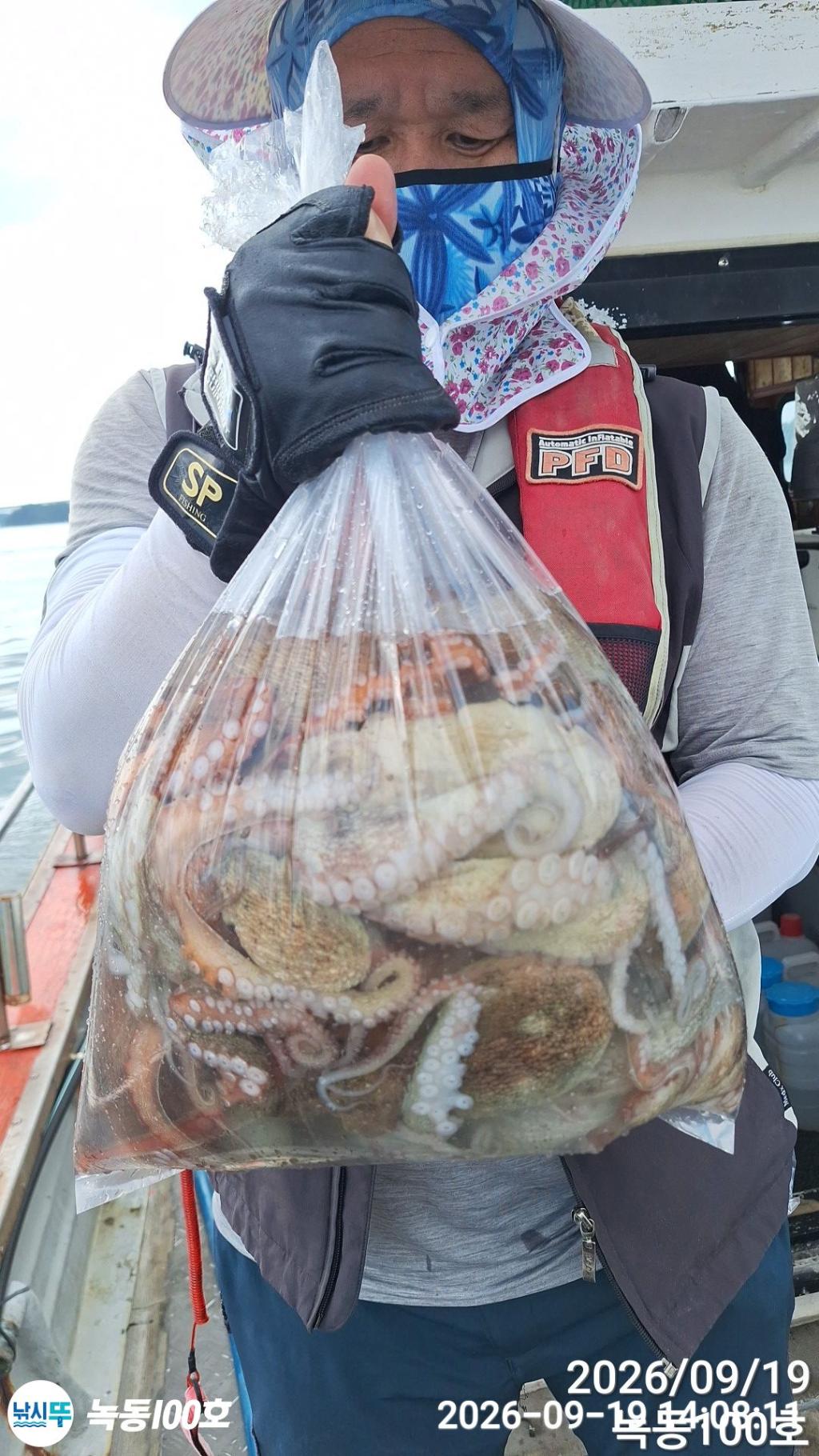 낚시뚜,돌문어,녹동항,녹동100호,낚시뚜11
