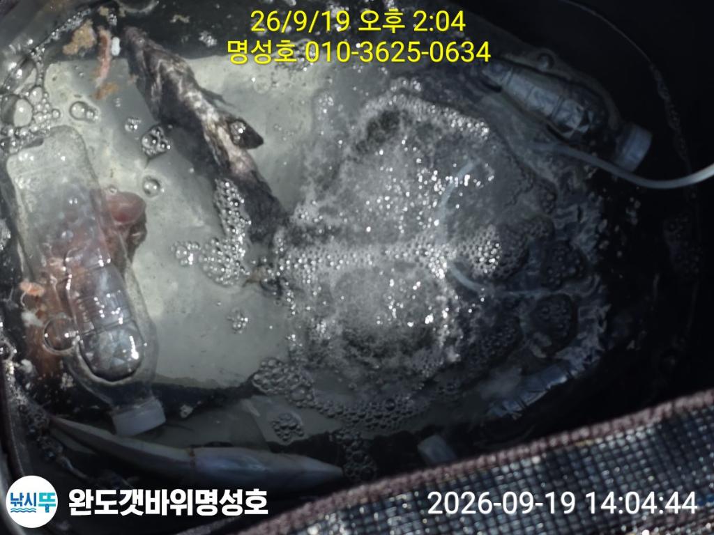 낚시뚜,감성돔,완도항,완도해남 명성호,낚시뚜2