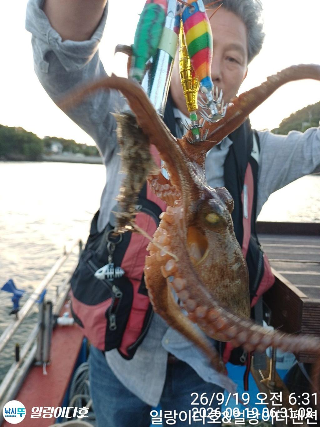 낚시뚜,돌문어,냉천항,일랑이다호,낚시뚜9