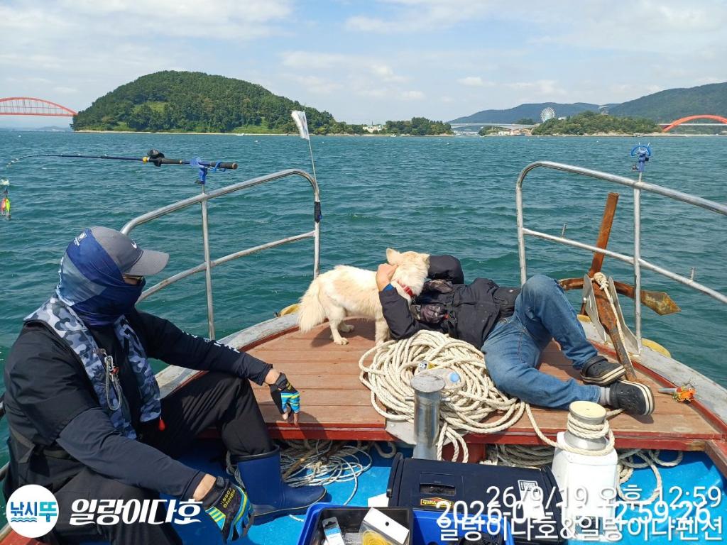 낚시뚜,돌문어,냉천항,일랑이다호,낚시뚜3