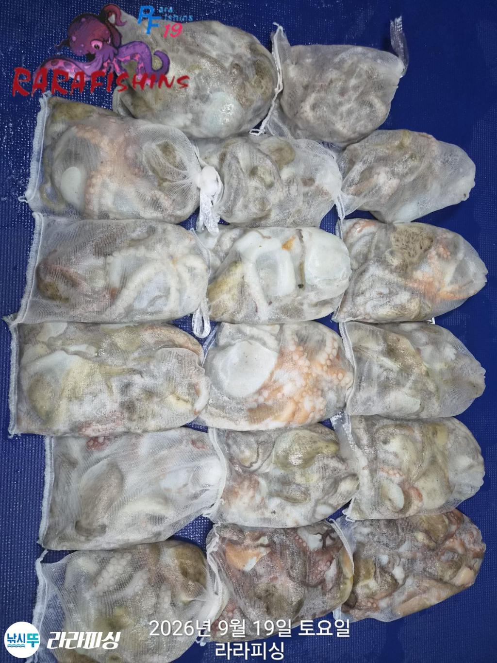 낚시뚜,돌문어,속천항(진해),라라피싱,낚시뚜14