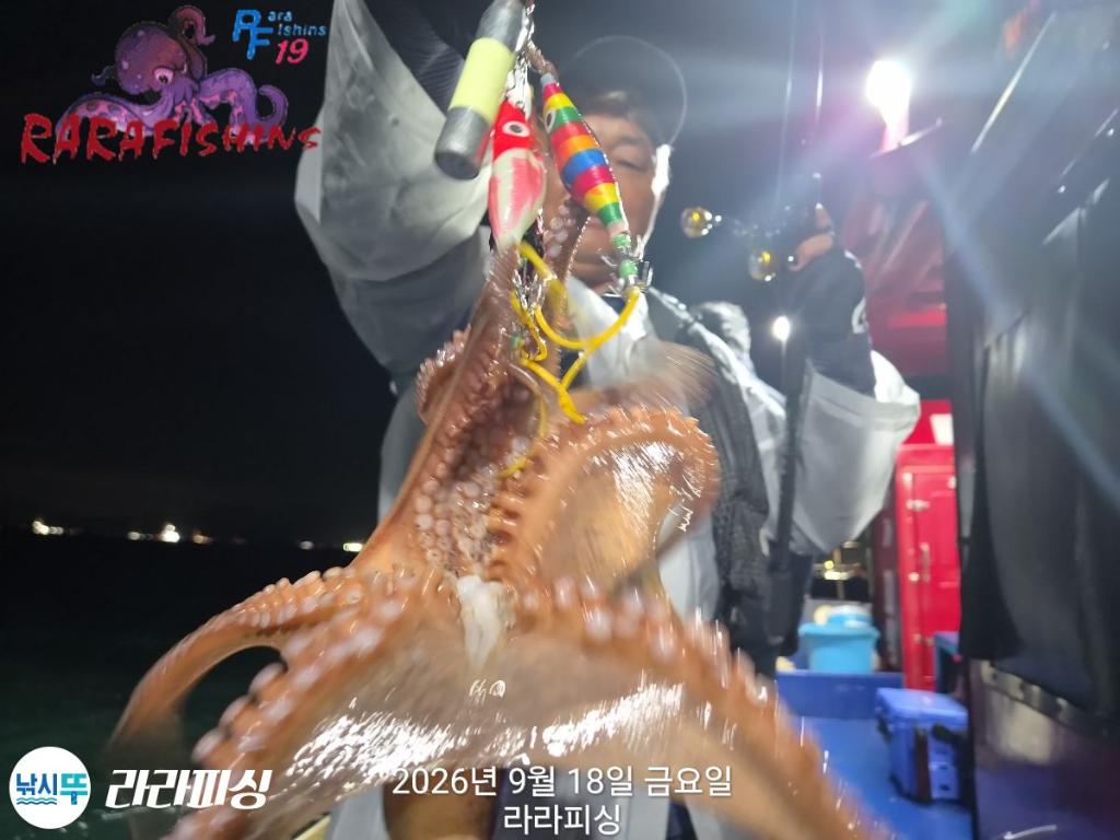 낚시뚜,돌문어,속천항(진해),라라피싱,낚시뚜10