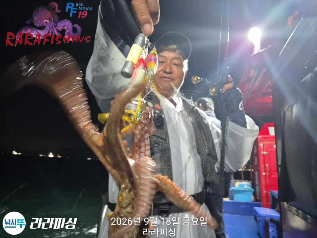 낚시뚜,돌문어,속천항(진해),라라피싱,낚시뚜9