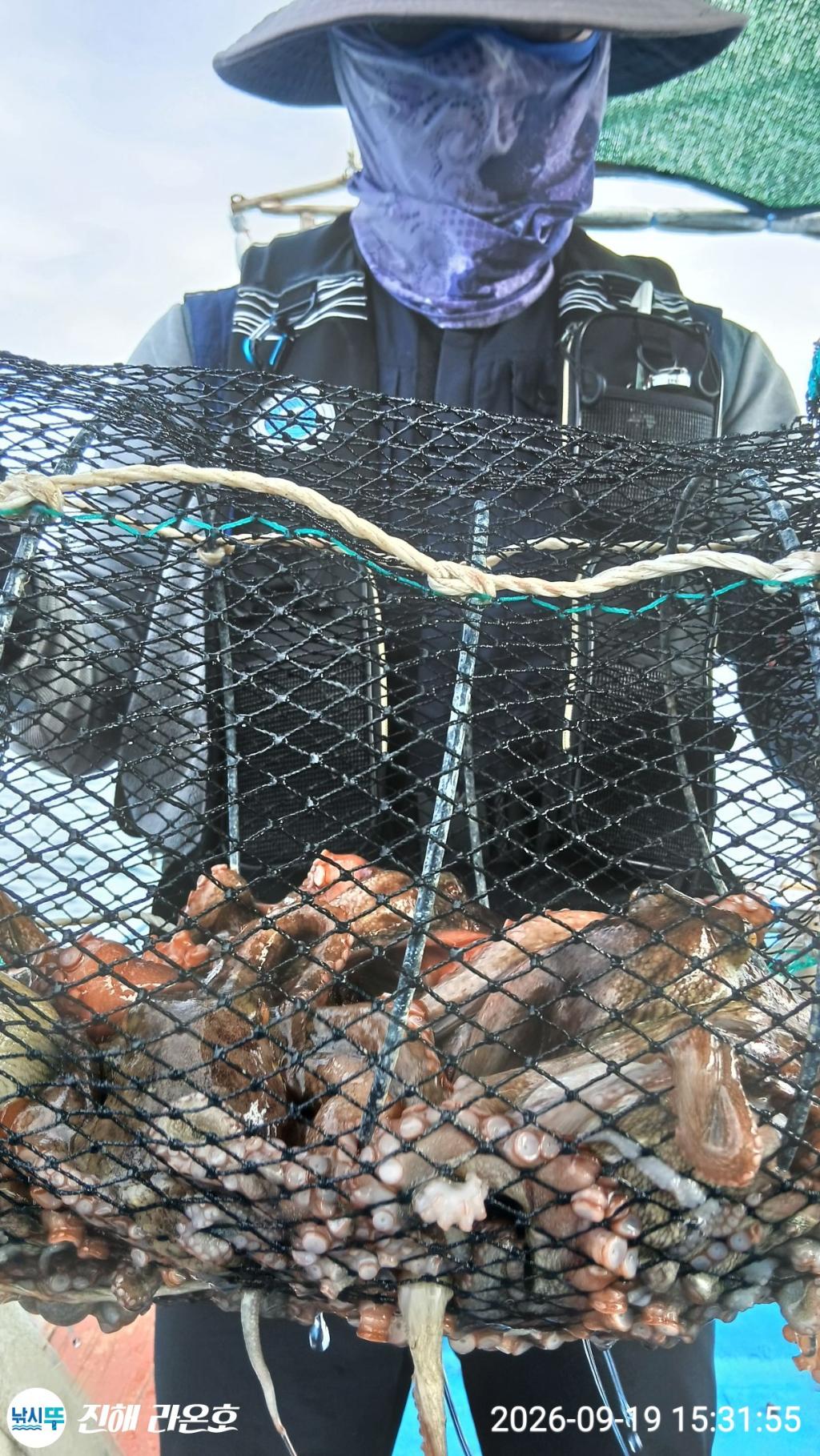 낚시뚜,돌문어,삼포항,진해 라온호,낚시뚜5