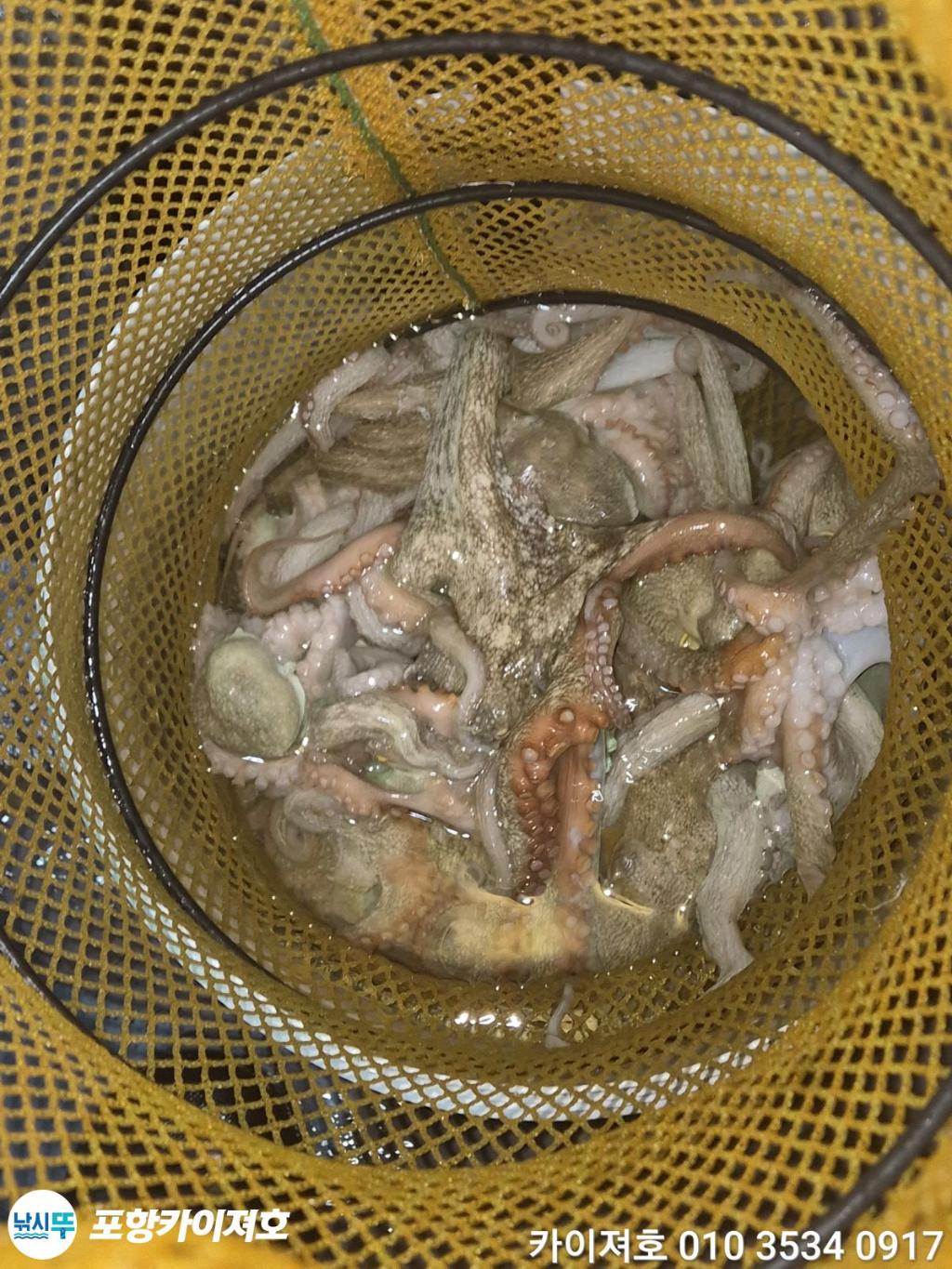 낚시뚜,기타 (직접입력),영일만항,포항카이져호,낚시뚜41