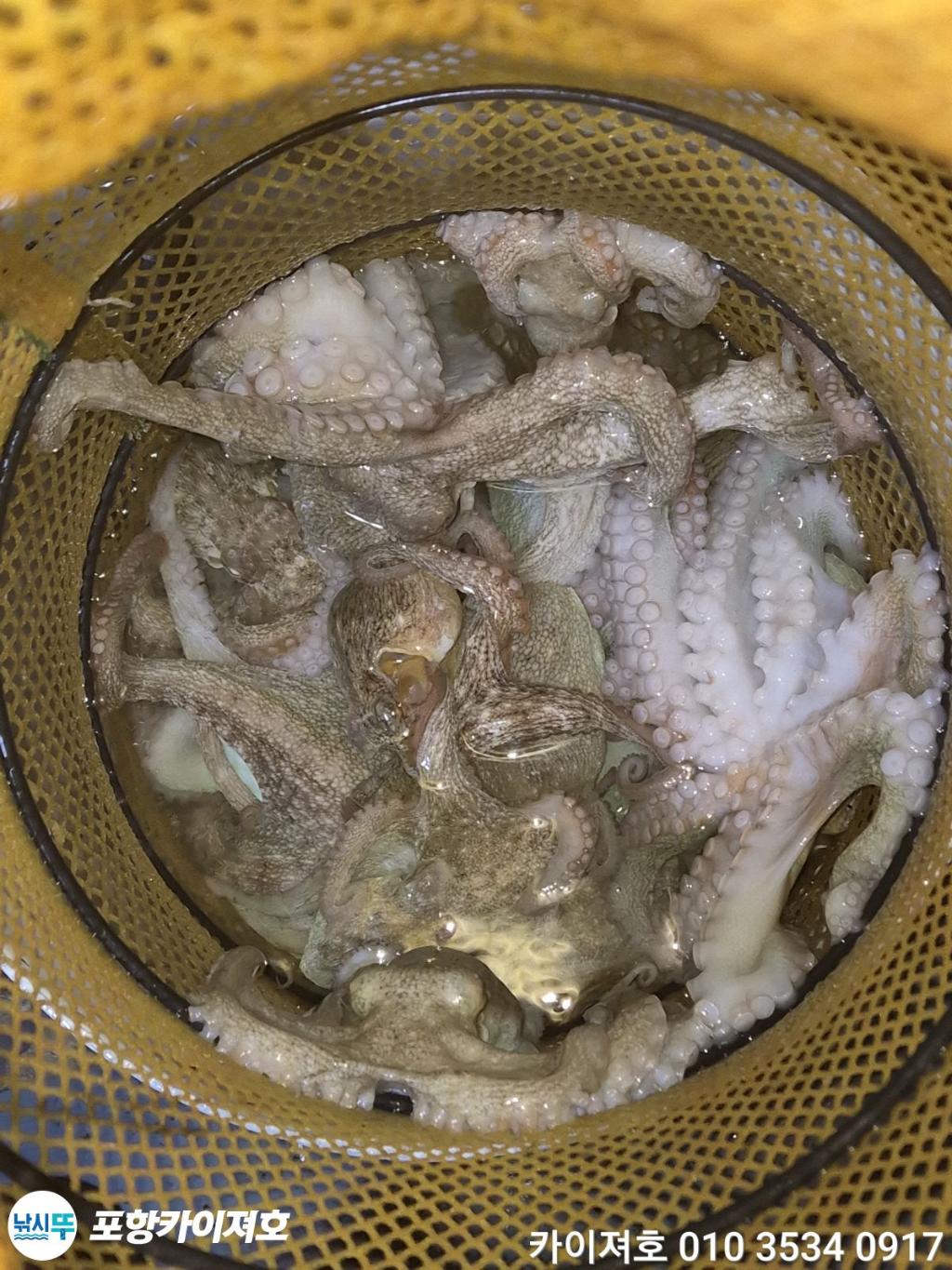 낚시뚜,기타 (직접입력),영일만항,포항카이져호,낚시뚜39
