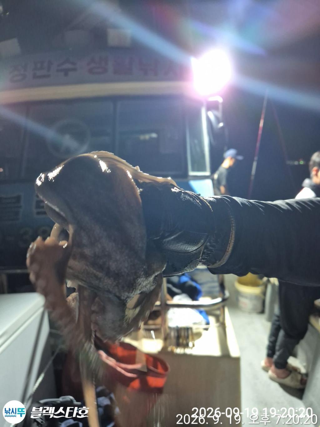 낚시뚜,돌문어,삼천포 팔포항,삼천포 블랙스타,낚시뚜9