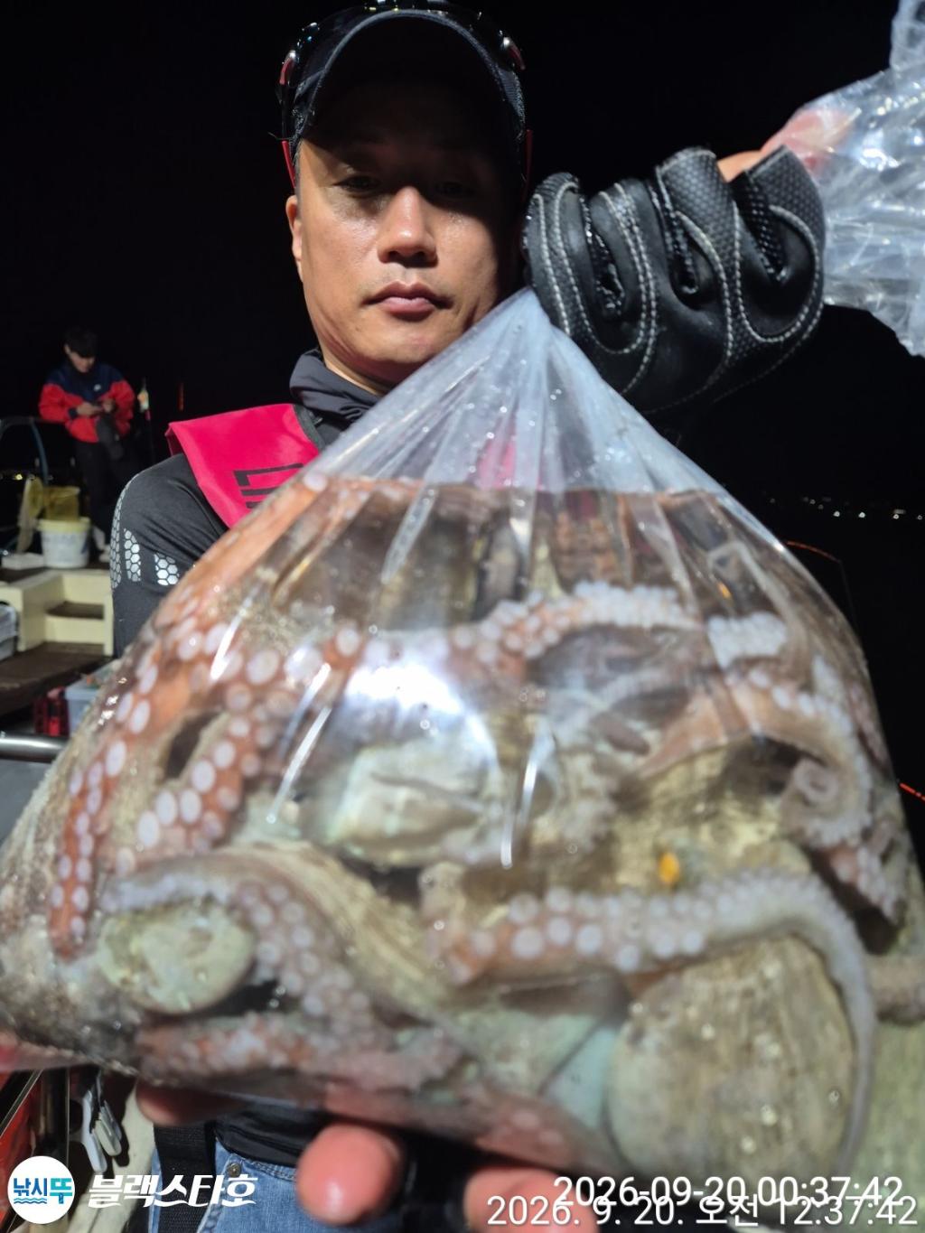 낚시뚜,돌문어,삼천포 팔포항,삼천포 블랙스타,낚시뚜5