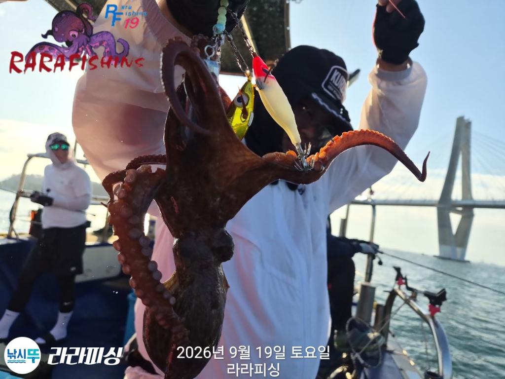 낚시뚜,돌문어,속천항(진해),라라피싱,낚시뚜7