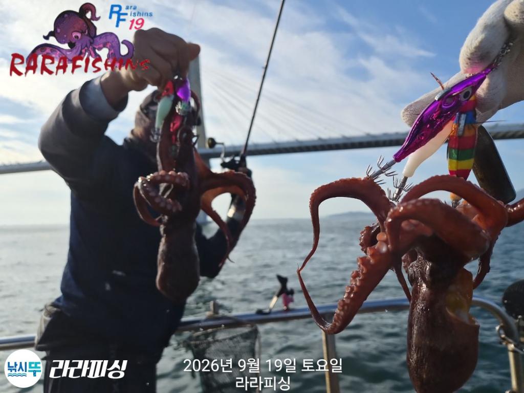 낚시뚜,돌문어,속천항(진해),라라피싱,낚시뚜6