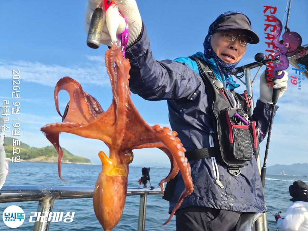 낚시뚜,돌문어,속천항(진해),라라피싱,낚시뚜5